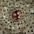 20110720004038-img_0076_copylow_res