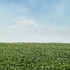 20110720081719-field__2__