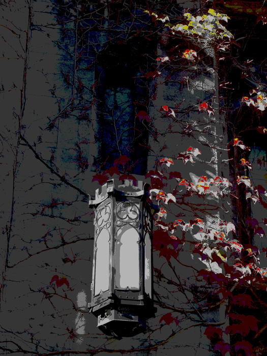 20110720091922-cobb_hall_lamp_with_red_and_green_ivy