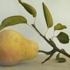 Single_pear