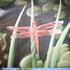 20110721114438-dragon_fly_sold__500