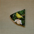 20110721190655-_cid_24c2d838-fa31-4727-a1d3-6b9717e003af_gateway_2wire