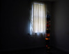 20110721201455-renovationcreep
