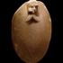 Fig_5