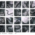 20110722095355-the_wall_collagraphy_280x240_2004