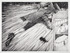 20110724135217-armstead_kenseth_01