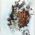 20110726134905-nature-_the_life_2_2010__acrylic_on_canvas