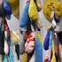 Gfsdetailcomposite