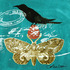 20110726091309-birds-blue-4