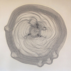Spiral 69,Davis Birks