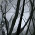 20110727180247-unadorned-cafeimage