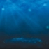 Deepbluewater72