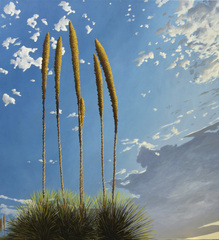 Desert Rockets,Chris Barnard