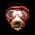 20110728102741-head_on
