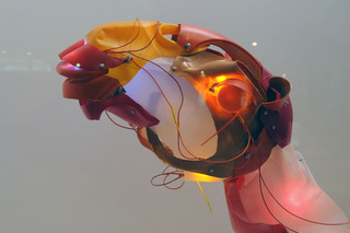 Camel (detail),Cynthia Minet