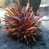 20110729164343-pino_cono_desert