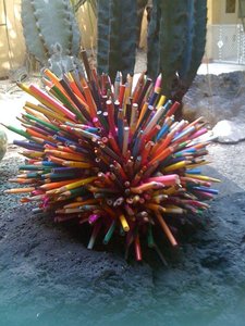 20110729164343-pino_cono_desert