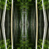 20111201073145-bamboo_forest_net
