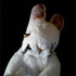 20110801014522-rabbitface