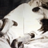 Reclining__black__white_2__sm