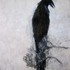 20110801213642-sw_exhibitions