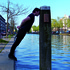 20110802000433-van_wieringen_bas