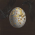 20110802171646-second_birth_oil_on_panel_36x36