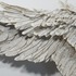 20110802172547-wing_closer