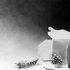 20110802193448-leftovers_6-21-11