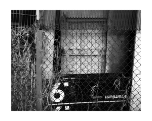 Signfence
