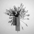Ubiquitous-2