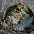 20110803214330-hanni_s_plate_