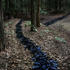 20110804022857-come_with_me_1