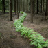 20110804023110-come_with_me_7