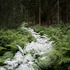 20110804023624-come_with_me_2