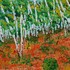 20110804162933-aspen_hill