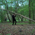 20110805073114-tree_3