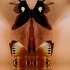 Es_6__l1070616__b_mirorr_water