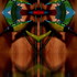 Es_5____l1070620_d__watermirorrmirorrwater