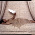 20110805172303-essaydi__les_femmes_du_maroc-la_sultane__2008__chromogenic_print__20x24in