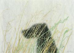 20110806074324-a367929_ruscha