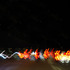 20110807081613-dscf4748