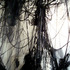 20110807201630-dsc04704_3x4