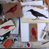 20110808173506-avian_dreams_stuff_on_desk