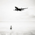 20110808201412-ja11_l