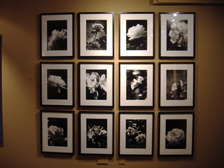 Dozen Roses,Jess Johnston