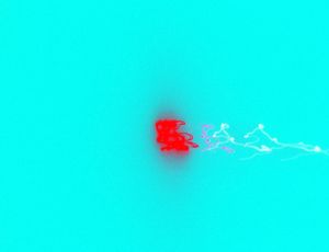 20110811164136-japaneseletter