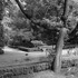 20110811215630-dscn1802