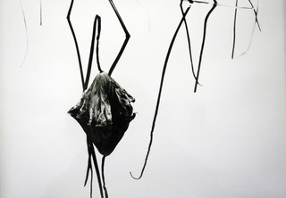 from \'Dead Flower\' Series,Chi Kuo-chang