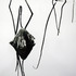 20110814130410-_rgoellnitz_chi-kuo-chang_dead-flowerimg_3180